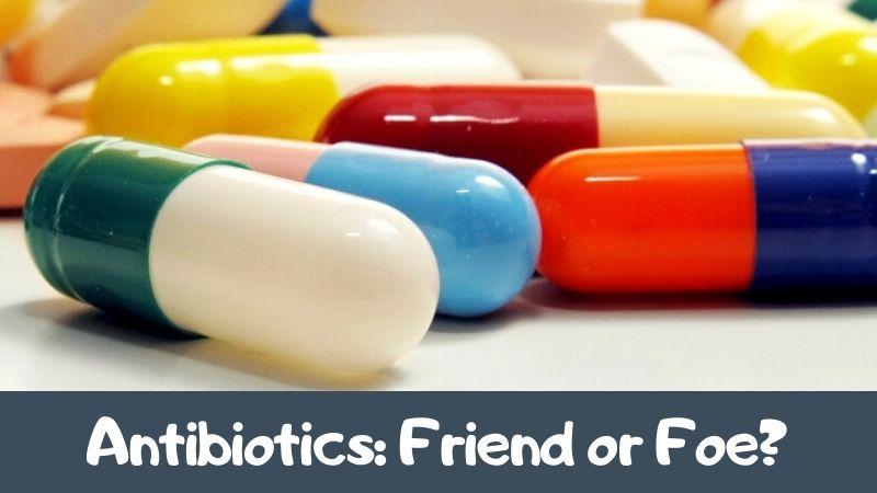 Antibiotics Friend or Foe